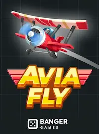 Avia Fly crash at D9D9 2026 COM